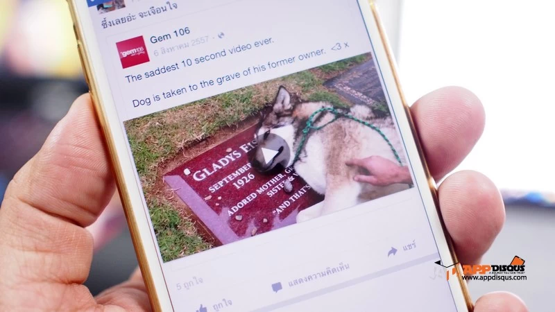 P9142199 | stayfocus | Tips: วิธีปิดการเล่นวีดีโออัตโนมัติบนหน้า Facebook