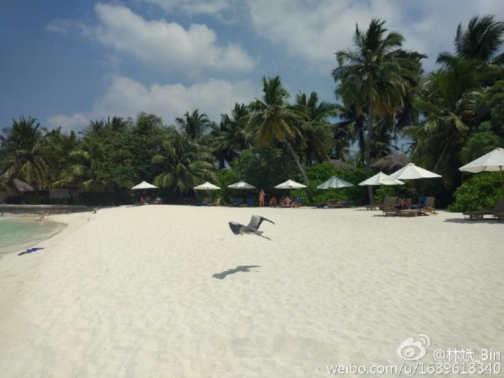 gsmarena 0024 | Xiaomi MI 5 | ประธาน Xiaomi ปล่อยภาพถ่าย Sample image จากกล้องหลัง Xiaomi Mi 5