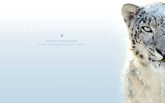 snow_leopard_wallpaper_7