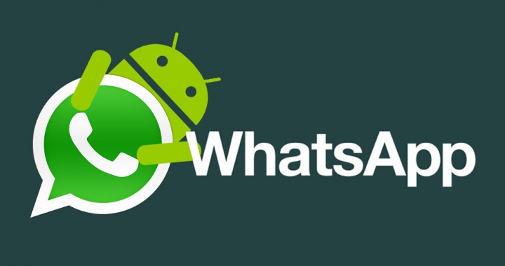 WhatsApp GIFs Videos | Application | WhatsApp เตรียมเพิ่มฟีเจอร์ใหม่ส่งวิดีโอคล้ายๆ GIFs ได้เร็วๆนี้