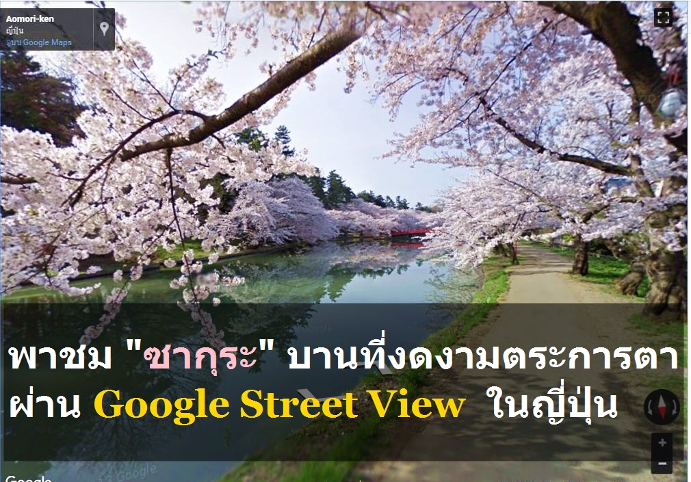 0012 sakura google street view | Google Street View | พาชม “ซากุระ” บานที่งดงามตระการตาด้วย Google Street View ในญี่ปุ่น