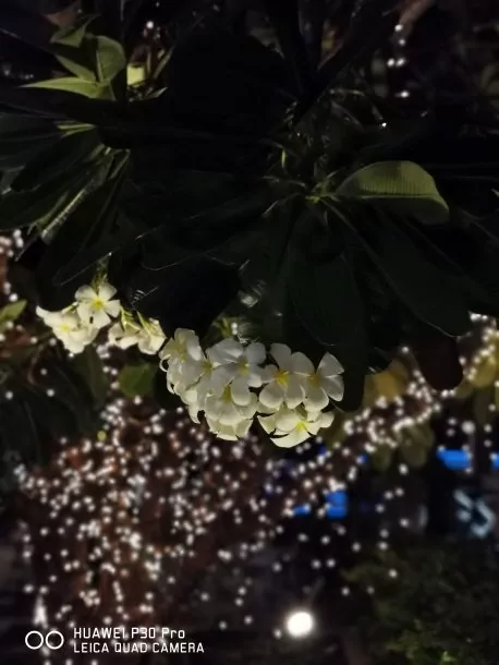 IMG 20190328 210332 | 50x | รีวิวทดสอบกล้อง Huawei P30 Pro ซูมไกลแต่ชัด เก่งในที่มืดมากกว่าเดิม