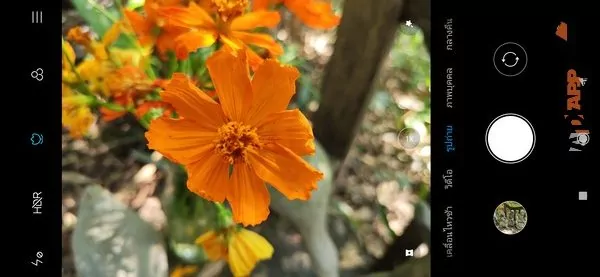 Xiaomi Mi9 013 e1553260930754 | Mi 9 | รีวิว Xiaomi Mi 9 สมาร์ทโฟนที่จะพาเราไปสัมผัสขีดสุดของความแรง และประสิทธิภาพกล้องถ่ายภาพระดับสูง