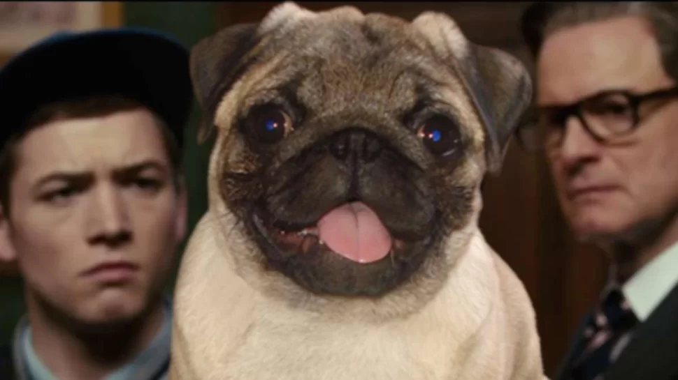 Does The Dog Die เว็ปสำหรับทาสหมาขวัญอ่อน สปอยหนังก่อนดูว่ามีฉากน้องหมาตายหรือเปล่า!! 1 KingsmanPug | Dose the dog die | Does The Dog Die เว็ปสำหรับทาสหมาขวัญอ่อน สปอยหนังก่อนดูว่ามีฉากน้องหมาตายหรือเปล่า!!
