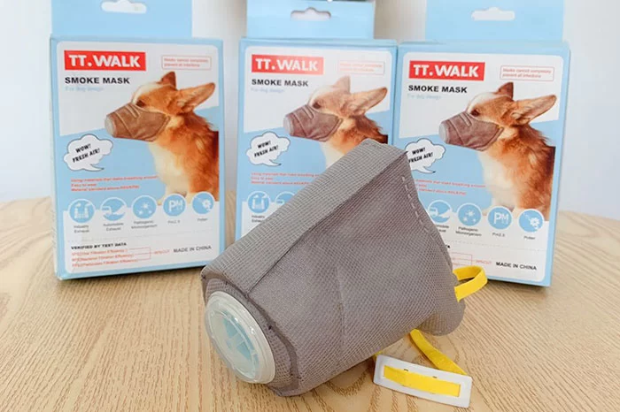 dog masks coronavirus china 2 5e33f616b6eeb 700 1 | coronavirus | ยอดหน้ากากอนามัยสำหรับน้องหมาเพิ่มขึ้น10เท่า หลังมีข่าวลือไวรัสโคโรน่าติดสู่สัตว์เลี้ยงได้