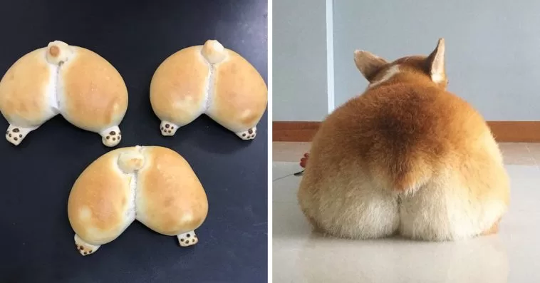 Corgi Butt Buns ขนมปังรูป japanese bakery makes corgi butt buns stuffed with jam or custard 758x397 1 | Corgi Butt Buns | Corgi Butt Buns ขนมปังรูป