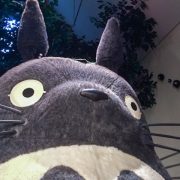 studio ghibli anime wallpaper free download zoom background video conference chat call japan animation japanese movies films nausicaa laputa castle in the sky princess mononoke spirited | Studio Ghibli | Studio Ghibli ปล่อยภาพแบล็คกราวสำหรับการประชุมผ่านวีดีโอคอลไปใช้ฟรี!!