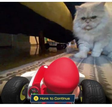 mario kart aaw1 | Mario Kart Live Home Circuit | ตามคาด น้องแมว กลายเป็นบอสใหญ่ ในเกม Mario Kart Live Home Circuit