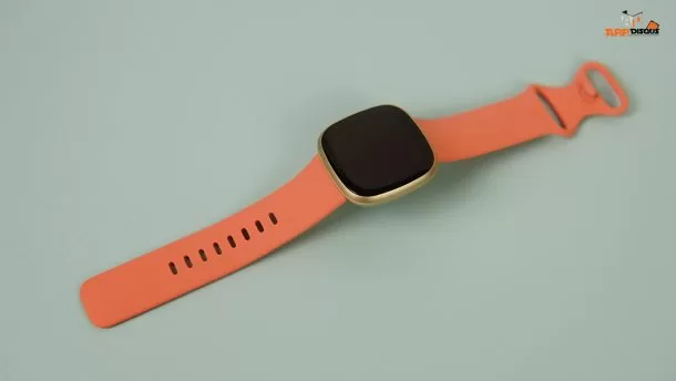 OPPODSC02166 | FitBit | รีวิว Fitbit Versa 3 ที่มาพร้อมฟีเจอร์ใหม่ เน้นตรวจสุขภาพและ GPS ในตัว