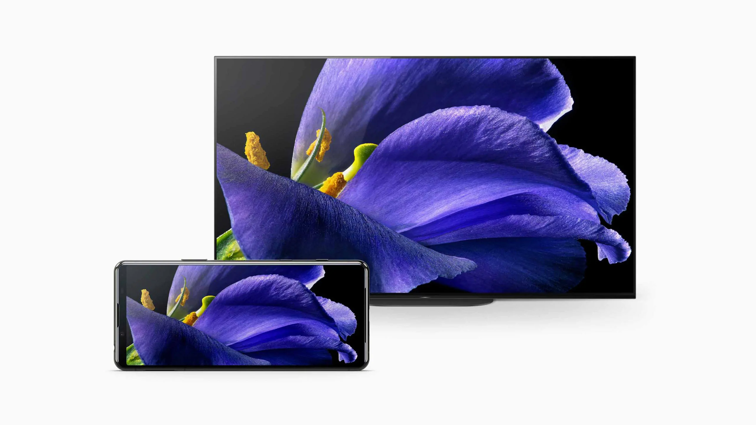 Pic XPERIA 5 ll 04 scaled | Sony‬ | Sony ประเทศไทยวางจำหน่าย Xperia 5 II เรือธงสุดล้ำในราคา 28,990 บาท