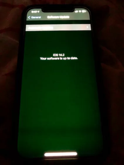 Screen Shot 2563 11 20 at 08.43.39 | apple | พบปัญหา iPhone 12 หน้าจอกระพริบผิดปกติและมีสีเหลืองเกินไป Apple รับทราบปัญหาพร้อมชี้แจงแนวทางแก้ไขแล้ว