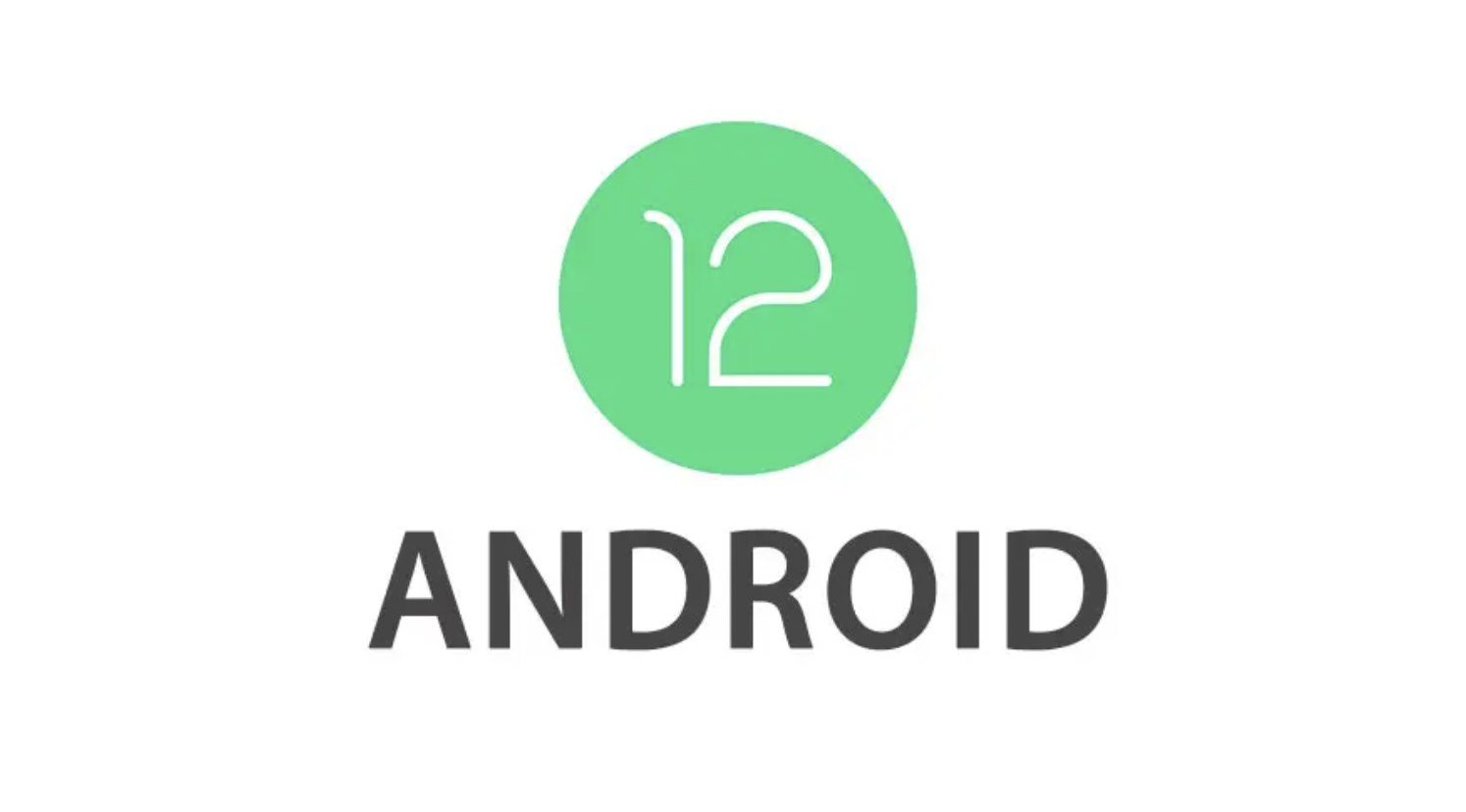 Screen Shot 2564 02 19 at 15.30.10 | Android 12 | Google ส่ง Android 12 developer preview พร้อมให้อัปเดตบนอุปกรณ์ Pixel