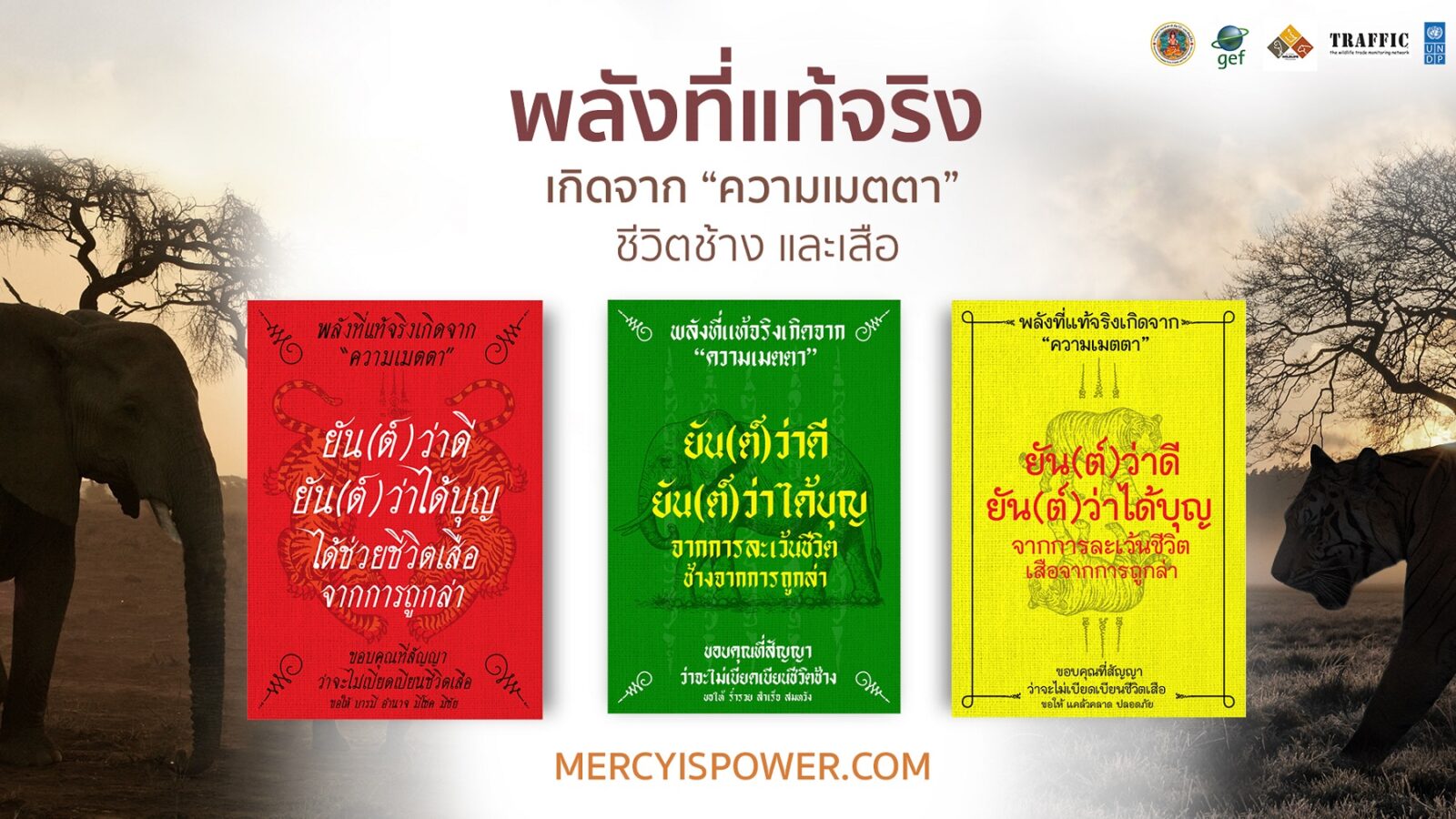 แคมเปญ 'Mercy is Power' แจกยันต์อิเล็กทรอนิกส์ ให้กับผู้ให้สัญญาว่าจะไม่ซื้อเครื่องรางจากช้างและเสือ 1 Mercy is Power – พลังที่แท้จริงเกิดจากความเมตตาชีว | Mercy is Power | แคมเปญ 'Mercy is Power' แจกยันต์อิเล็กทรอนิกส์ ให้กับผู้ให้สัญญาว่าจะไม่ซื้อเครื่องรางจากช้างและเสือ