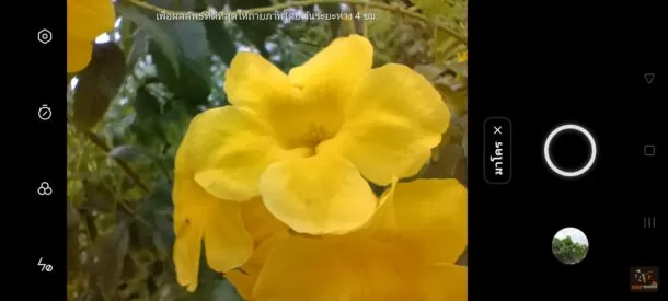 OPPO Reno6 Z 5G OPPO 0068 | OPPO | รีวิว OPPO Reno6 Z 5G สมาร์ทโฟนสายถ่ายภาพ ถ่ายพอร์ตเทรตบุคคลได้ยอดเยี่ยม