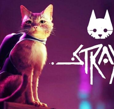 STRAY adds PS4 | PS4 | มาเล่นเป็นน้องแมวบน PS4 , PS5 และ พีซีในเกม STRAY