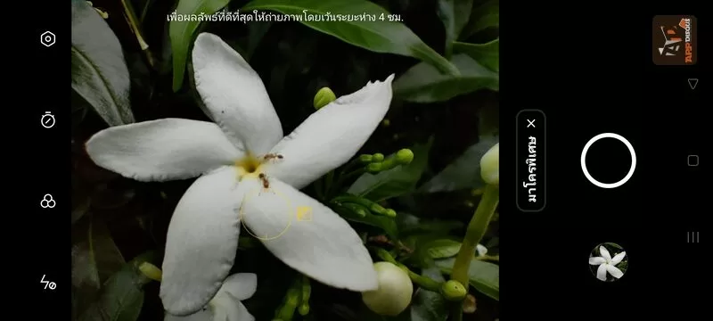 realme GT Master Edition 0037 rotated | GT Master Edition | รีวิว realme GT Master Edition สมาร์ทโฟนดีไซน์สวยจากนักออกแบบชื่อดัง สเปคแรงสุด Snap 778G ด้วยเกียร์พิเศษ 