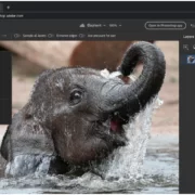 Screen Shot 2564 10 27 at 22.30.15 | Adobe | Adobe เปิดตัว Photoshop แบบเว็บไซต์ แก้งานได้ทุกที่