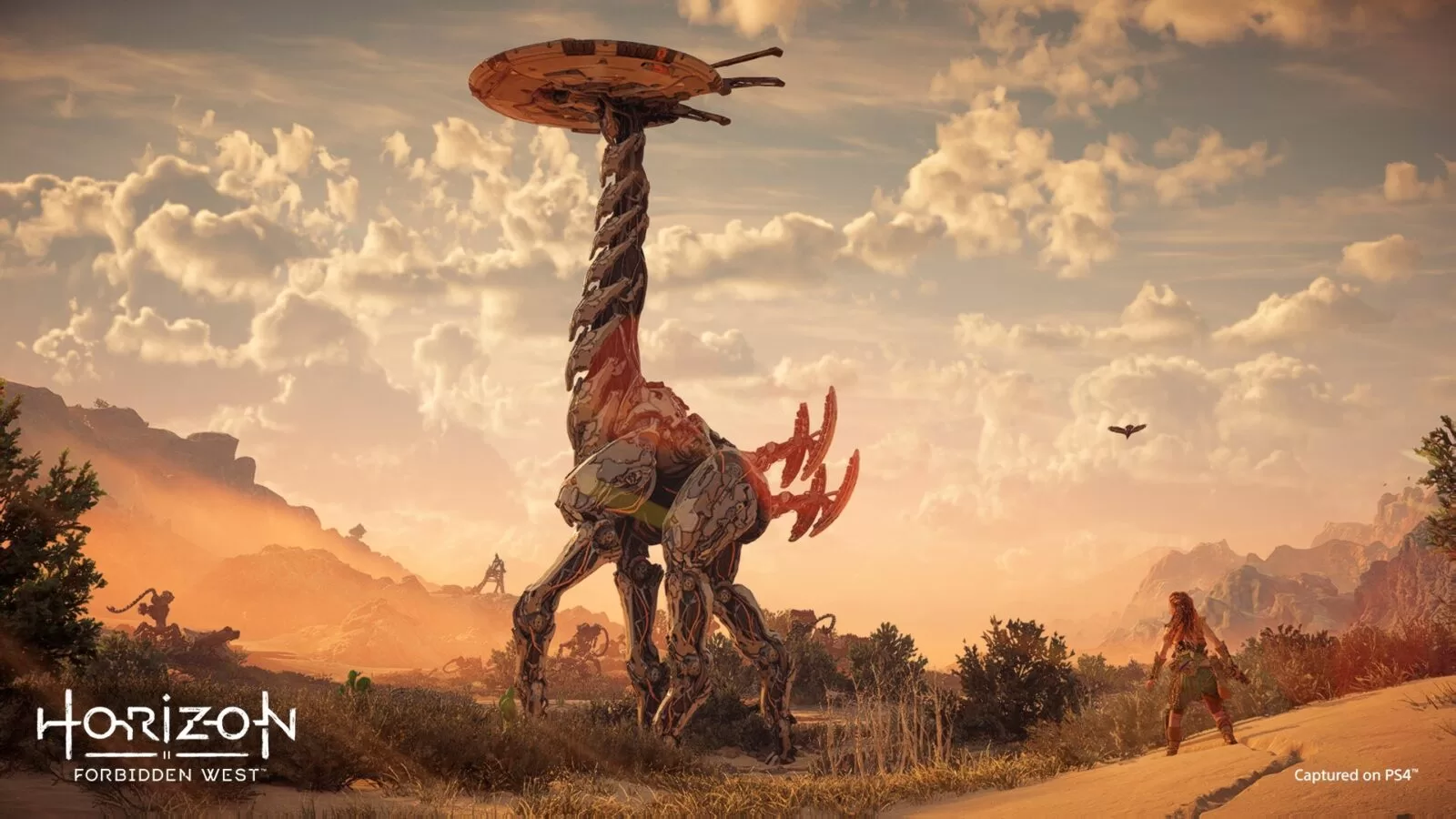โคตรสวย! เผยภาพสกรีนช็อต Horizon Forbiden West จากเครื่อง PlayStation 4 1 267797930 2045763045591563 6369481650033131664 n | Horizon Forbiden West | โคตรสวย! เผยภาพสกรีนช็อต Horizon Forbiden West จากเครื่อง PlayStation 4