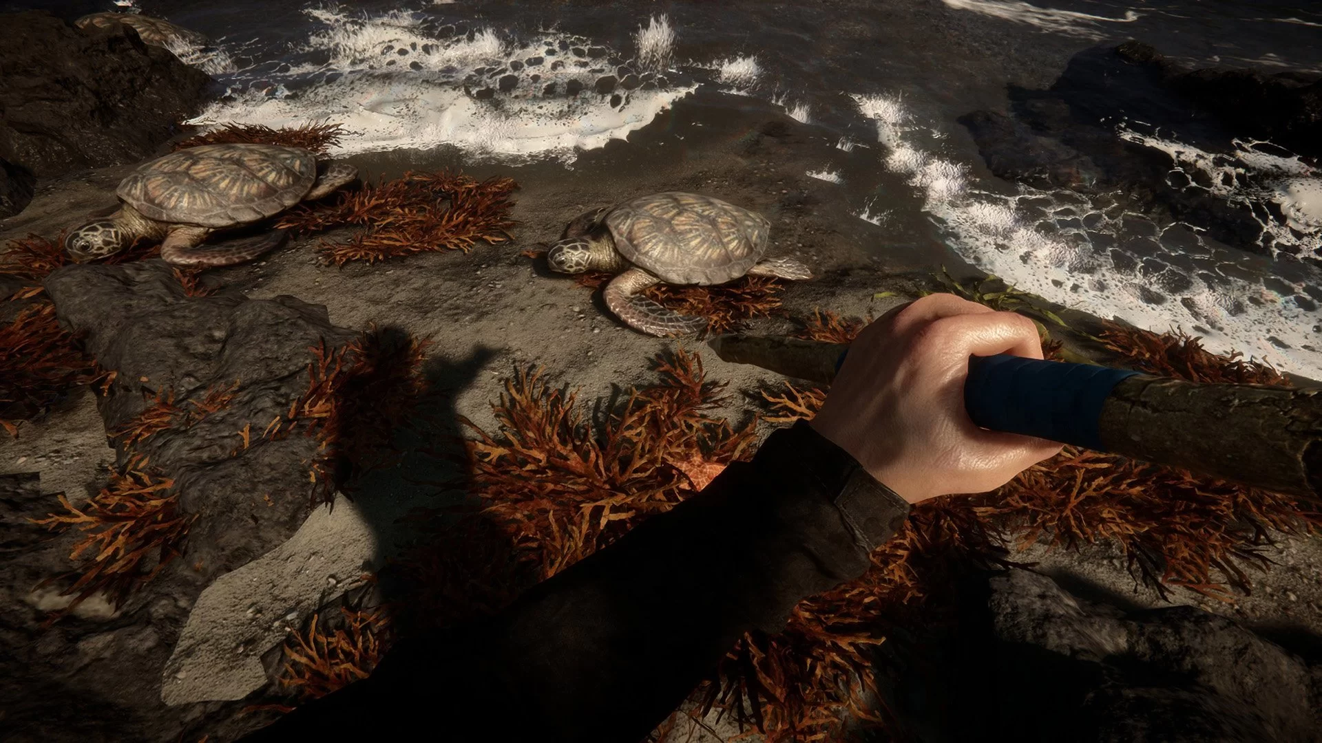| Sons of the Forest | Sons of the Forest เกมแนว Survival Horror มีกำหนดวางขายในวันที่ 20 พฤษภาคมปีหน้า