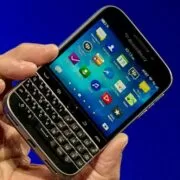 blackberry