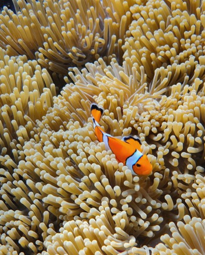 Hasselblad-Inspired-Moments-2