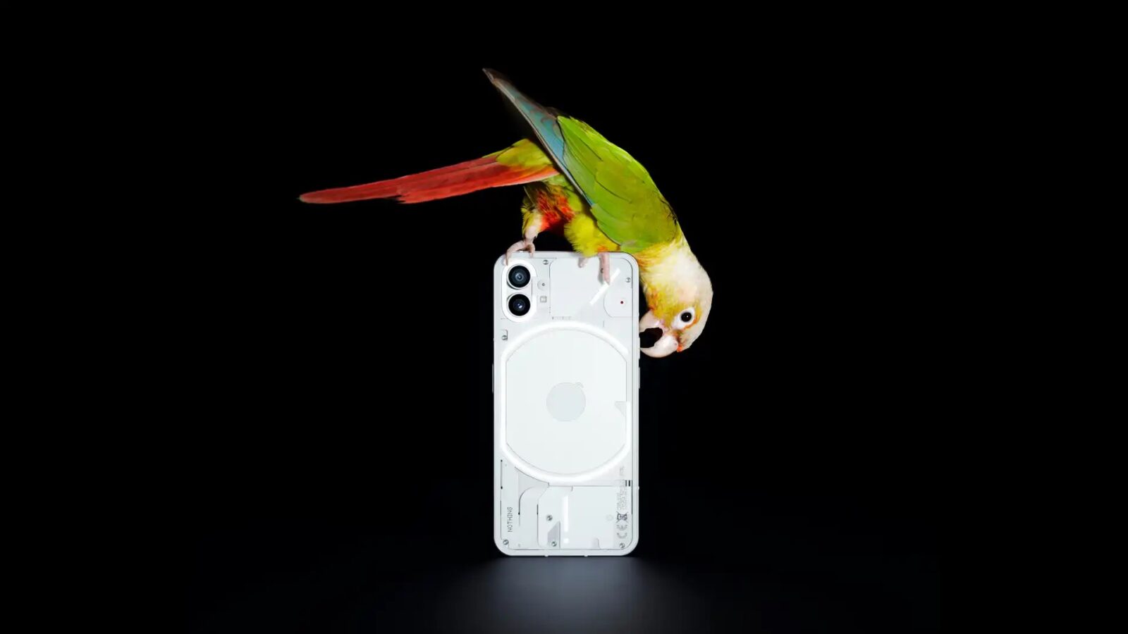 เผยภาพบางส่วนจากกล้องของ Nothing phone (1) ก่อนเปิดตัว 1 nothing-phone-1