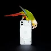 nothing-phone-1