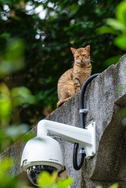 how-to-cctv-bangkok-8