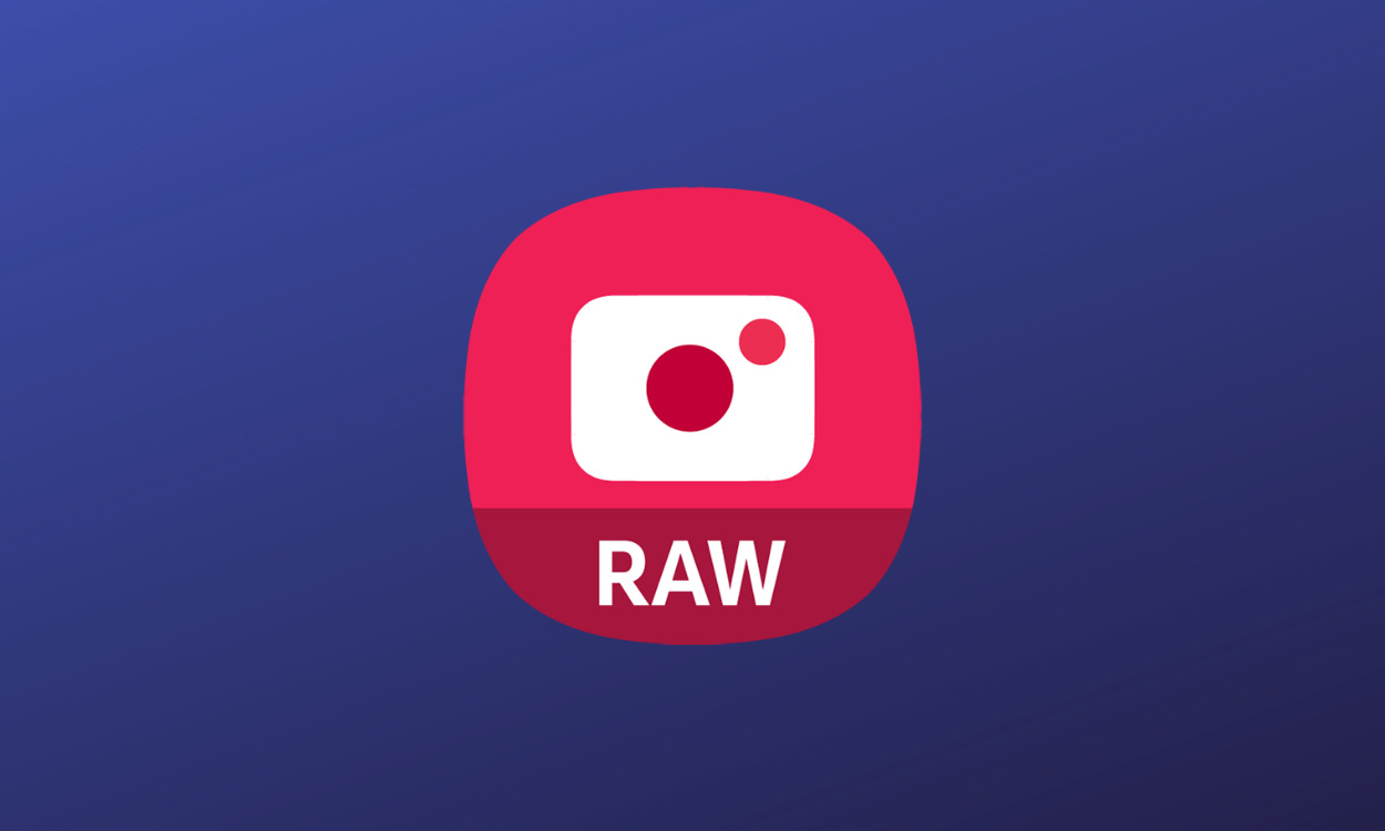 expert-raw