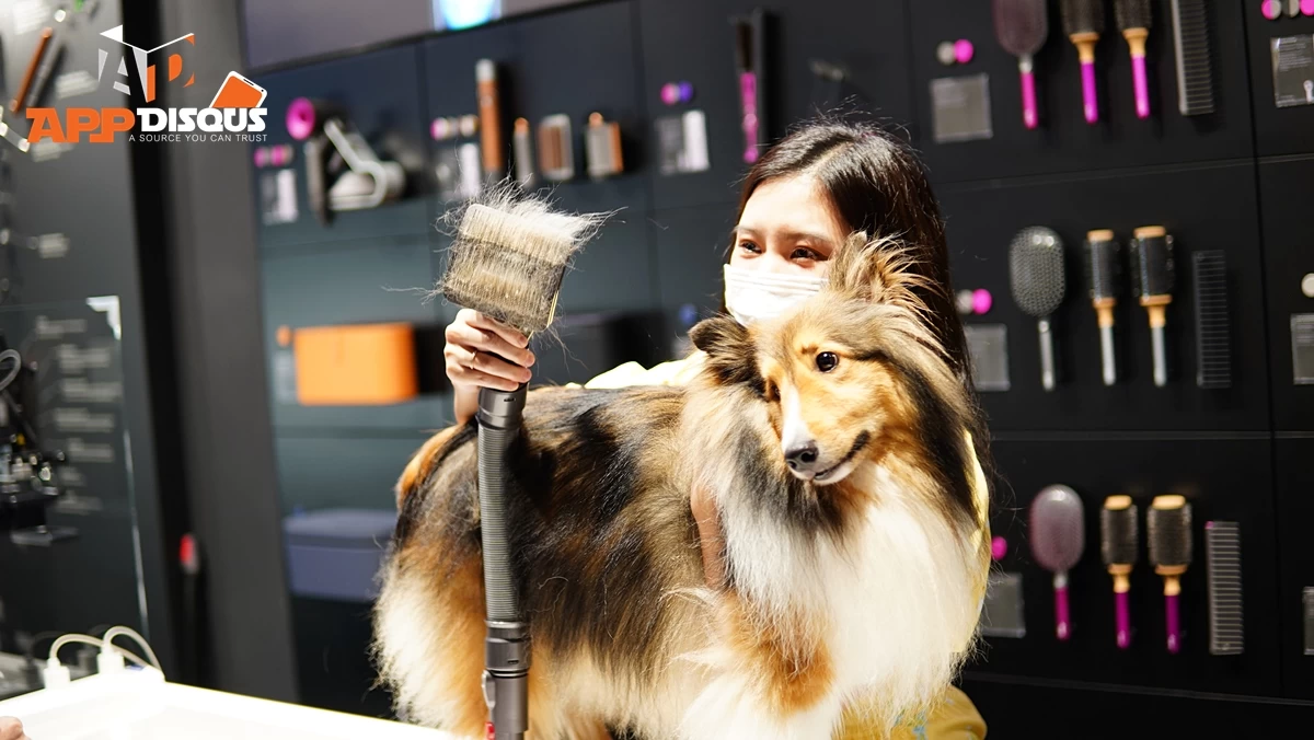 Dyson V15 Detect DSC00190 | Dyson | รีวิว Dyson V15 Detect เครื่องดูดฝุ่นไร้สาย ที่เหนือกว่าด้วยความคิด ประสิทธิภาพทรงพลัง ฝุ่น ผง ผม ขนสัตว์ ขจัดได้หมดด้วยหัวดูด 2+6 ชิ้นภายในกล่อง