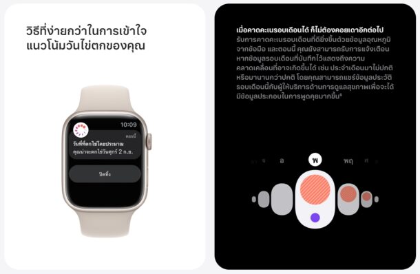 Apple Watch Series 8