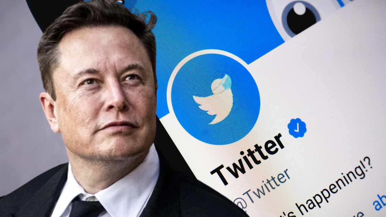 elon must twitter deal | Elon Musk | ผลโพลชี้ชัด Elon Musk อาจต้องหยุดเป็น CEO ของ Twitter ในเร็ว ๆ นี้