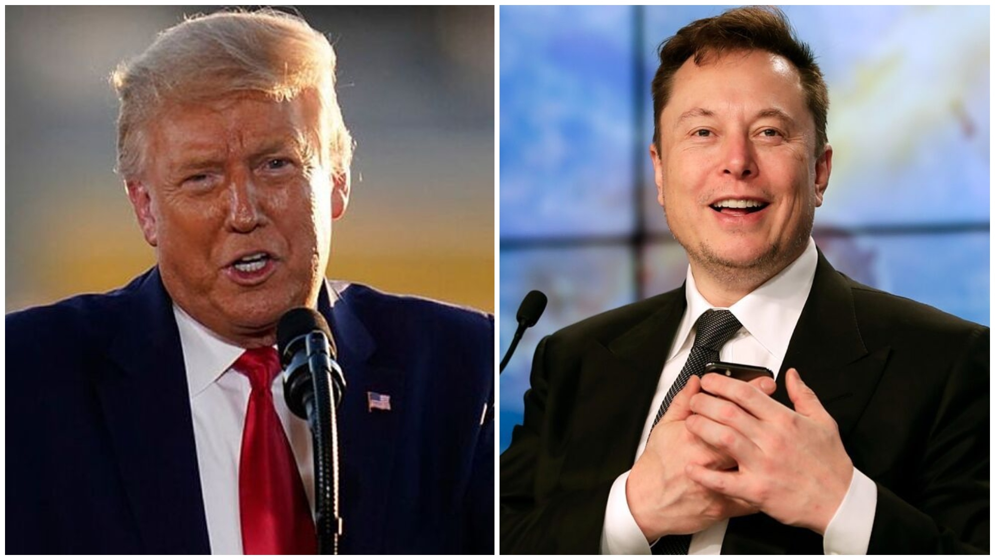 Elon Musk and Donald Trump on Twitter