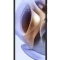 Motorola Moto G31