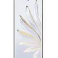 Honor 70