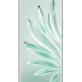 Honor 70 Pro Plus