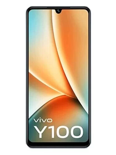 vivo Y100