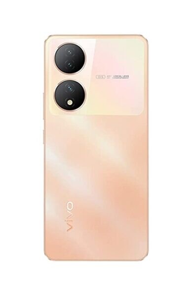 vivo Y100