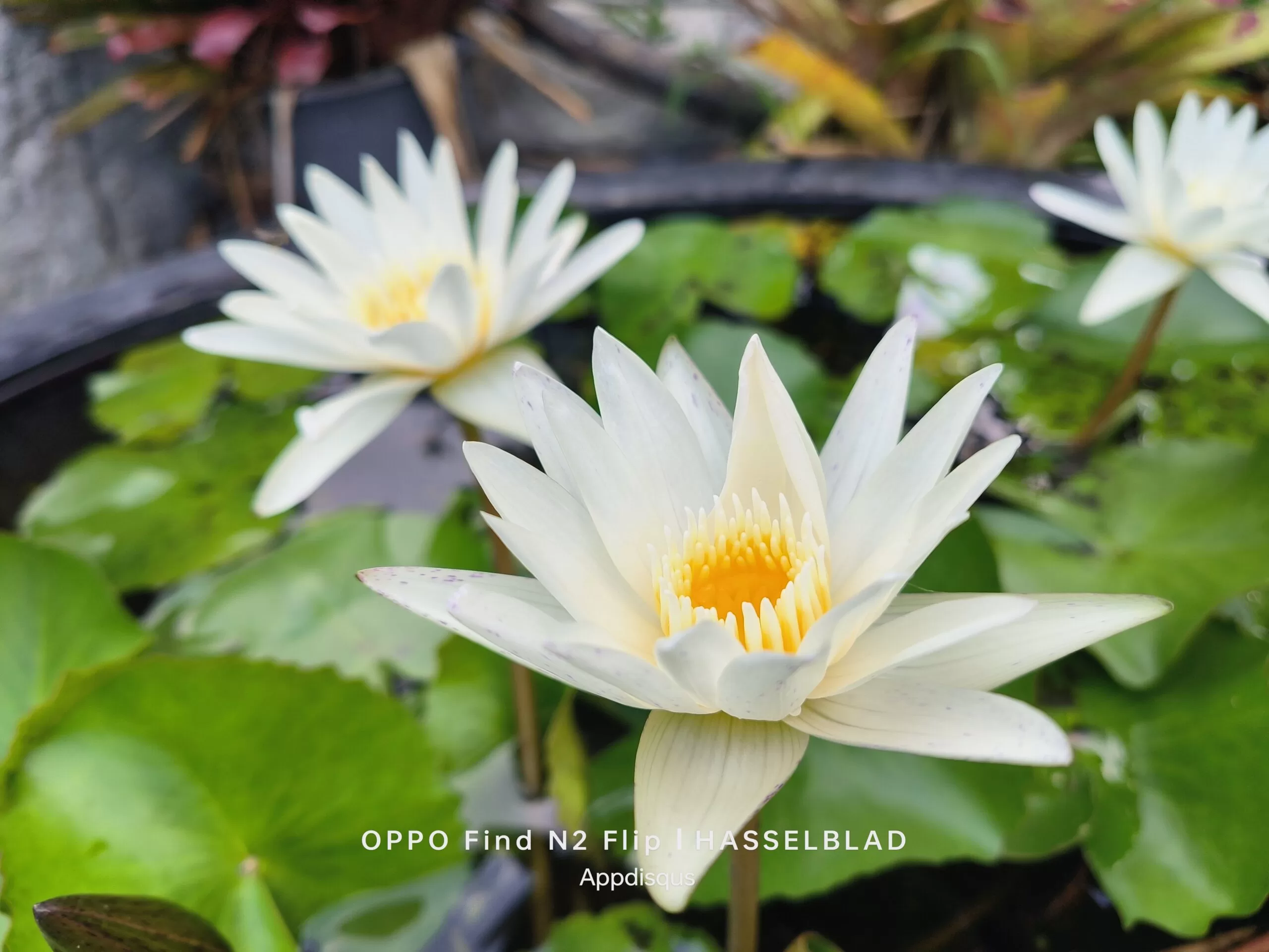 IMG20230318095232 scaled | OPPO | รีวิว OPPO Find N2 Flip สมาร์ทโฟนจอพับที่จะทำให้คุณหลงรัก มอบประสบการณ์พับที่ดีกว่า