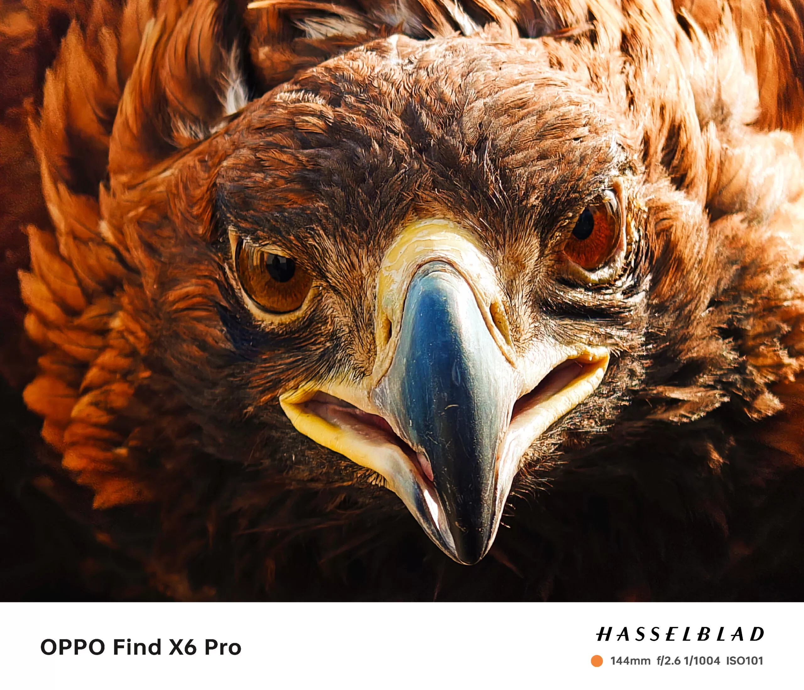 gsmarena 002 3 scaled | OPPO | Oppo เผยภาพตัวอย่างจากกล้อง Find X6 Pro