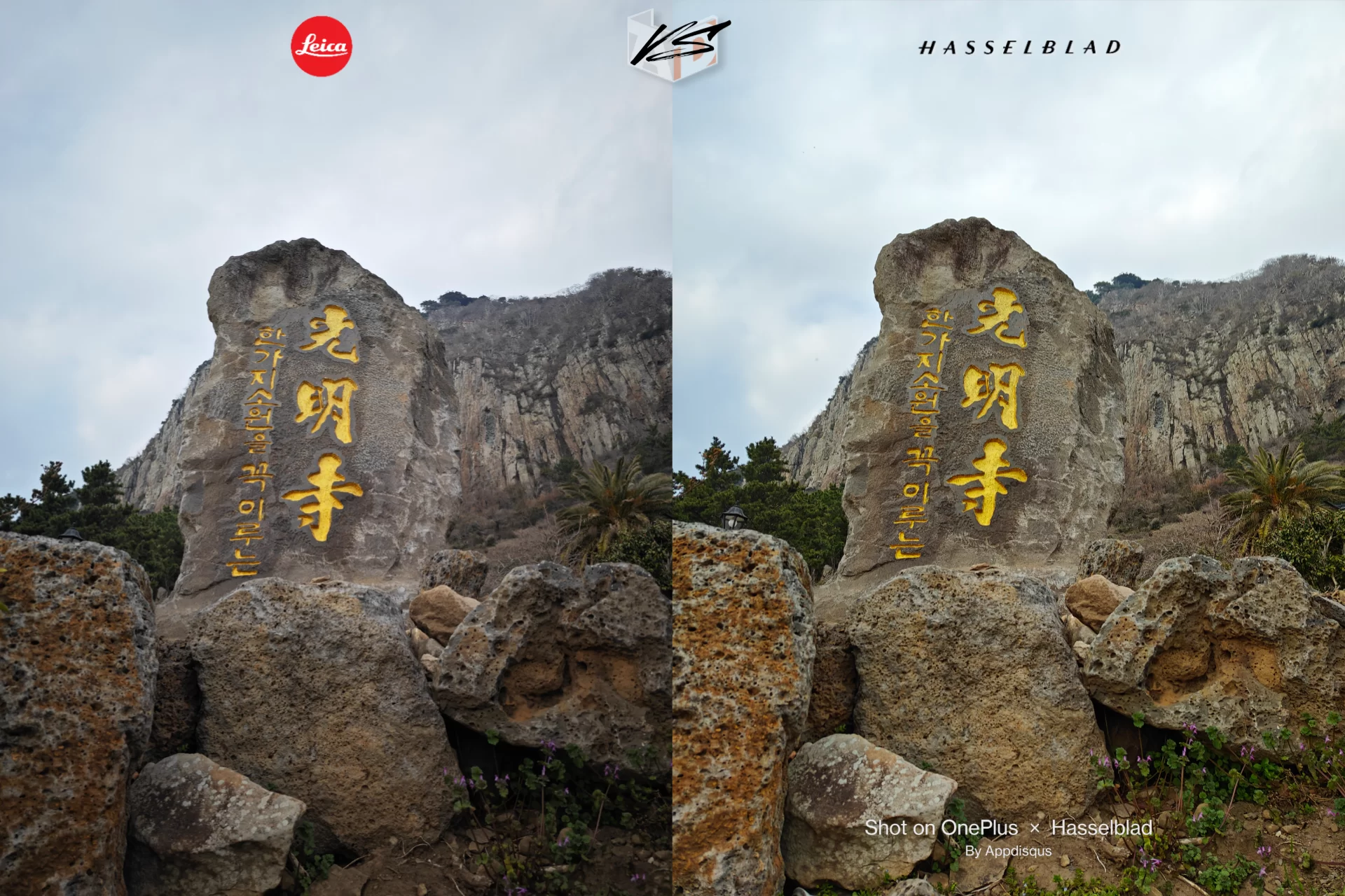 project 20230310 0121323 01 | Hasselblad | เทียบกล้อง 2 เรือธง - Xiaomi 13 Pro ที่มาพร้อม Leica | OnePlus 11 ตัวแทนแห่ง Hasselblad