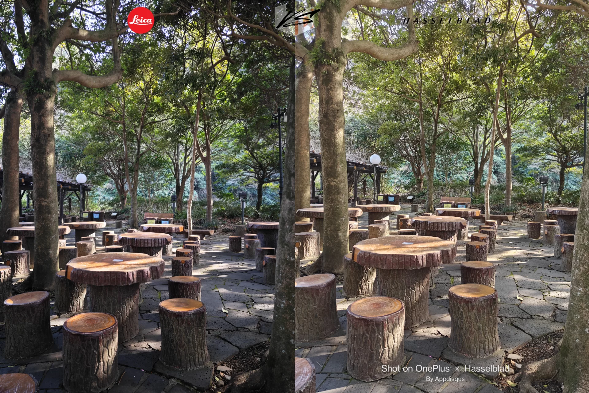 project 20230310 0121543 18 | Hasselblad | เทียบกล้อง 2 เรือธง - Xiaomi 13 Pro ที่มาพร้อม Leica | OnePlus 11 ตัวแทนแห่ง Hasselblad