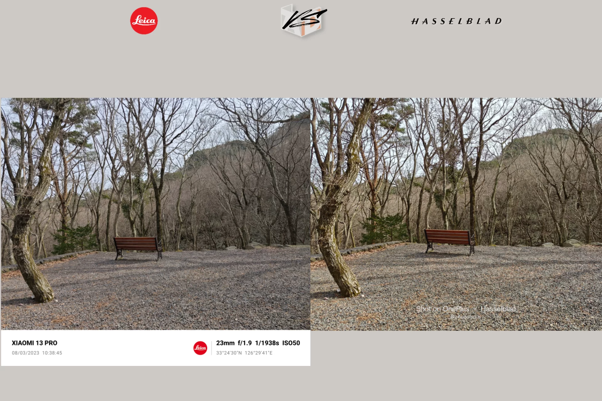 project 20230310 0122019 24 | Hasselblad | เทียบกล้อง 2 เรือธง - Xiaomi 13 Pro ที่มาพร้อม Leica | OnePlus 11 ตัวแทนแห่ง Hasselblad