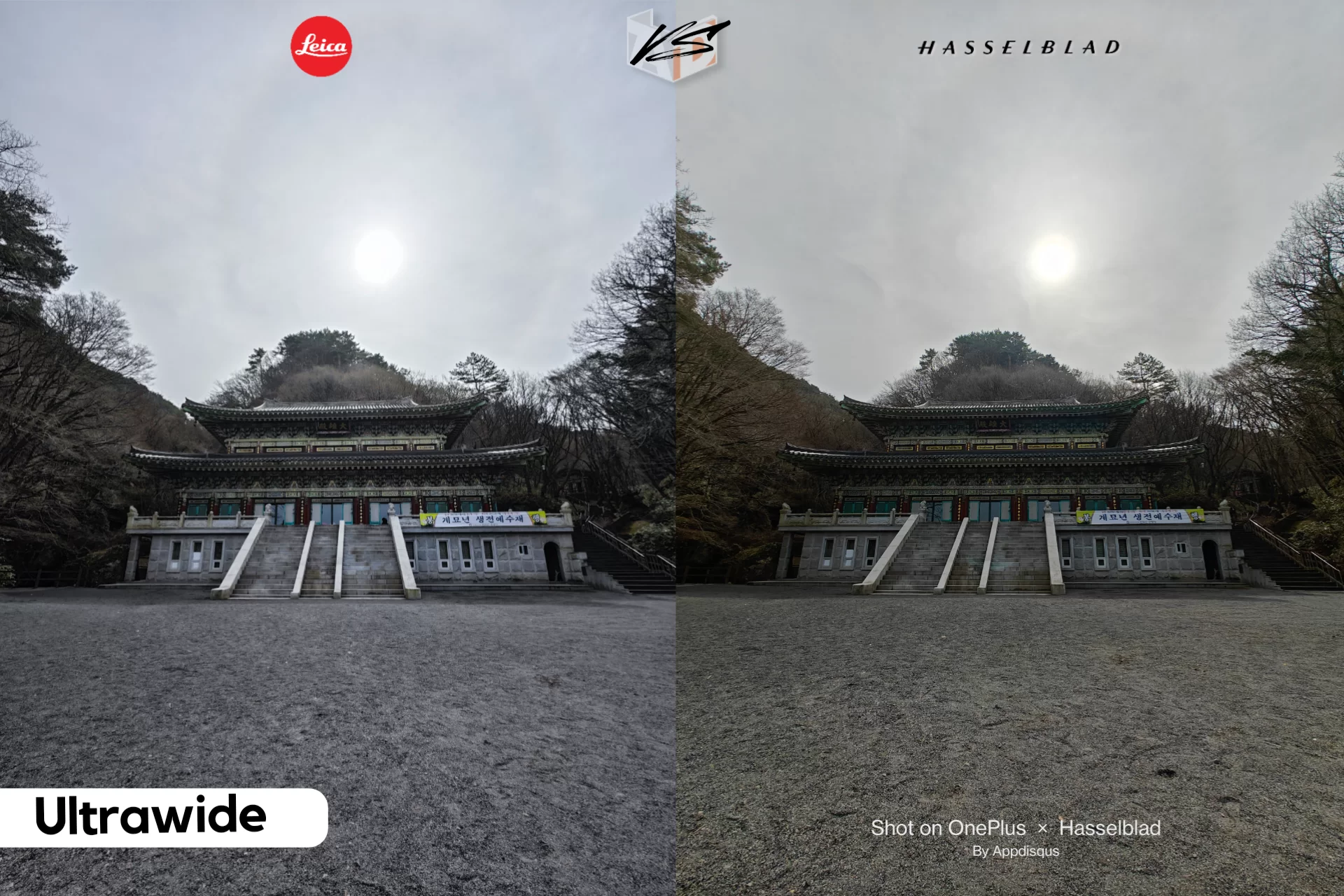 project 20230310 0122029 25 | Hasselblad | เทียบกล้อง 2 เรือธง - Xiaomi 13 Pro ที่มาพร้อม Leica | OnePlus 11 ตัวแทนแห่ง Hasselblad