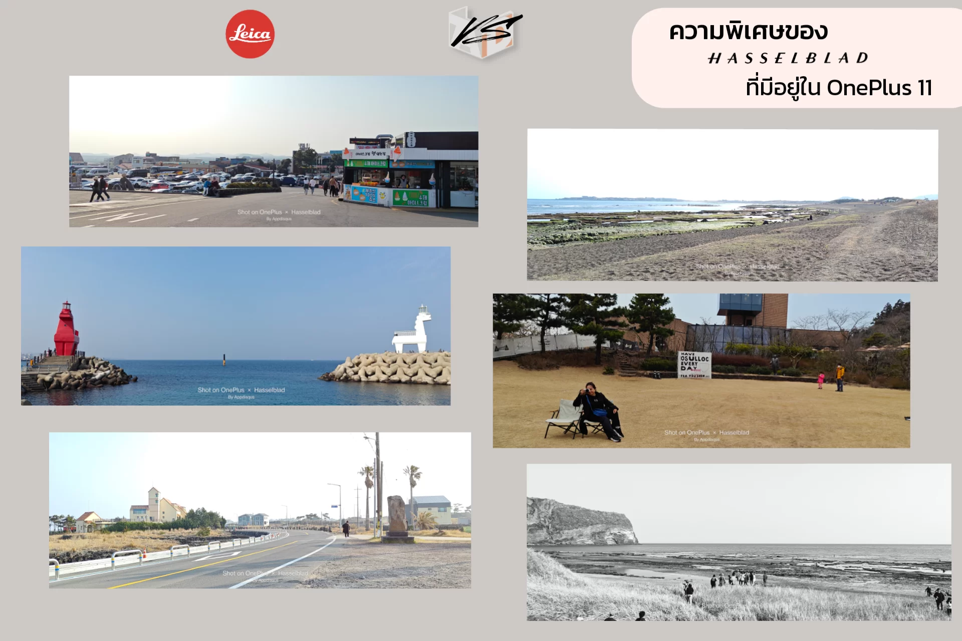 project 20230310 0122072 28 | Hasselblad | เทียบกล้อง 2 เรือธง - Xiaomi 13 Pro ที่มาพร้อม Leica | OnePlus 11 ตัวแทนแห่ง Hasselblad