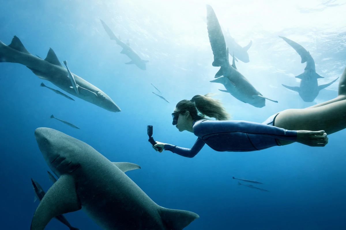 Osmo Action 4 Diving Vivid Underwater Footage before | dji | เปิดตัว DJI Osmo Action 4 สําหรับถ่ายภาพการผจญภัย คมชัด 4K/120fps