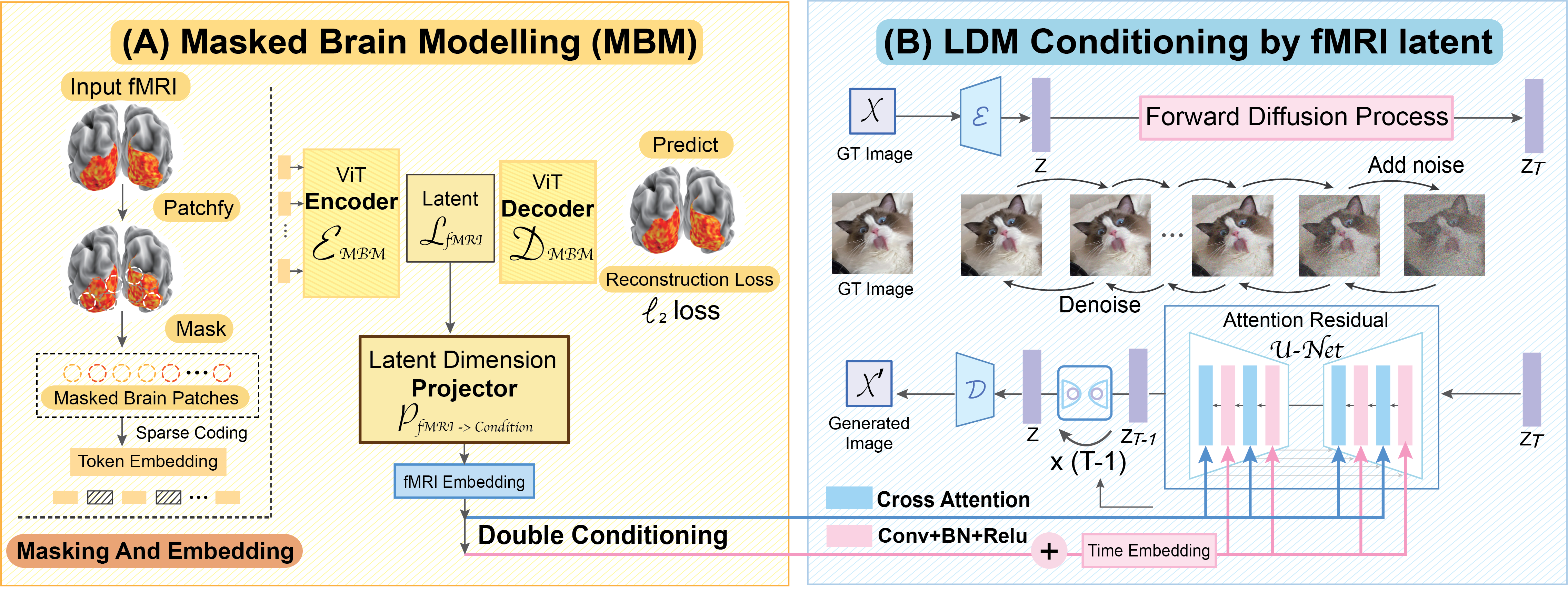 ai mind vis fmri 1 | AI | นักวิจัยสร้าง AI ที่สามารถอ่านใจมนุษย์ได้ถึง 85% หวังเป็นตัวช่วยผู้พิการทางสื่อสาร 
