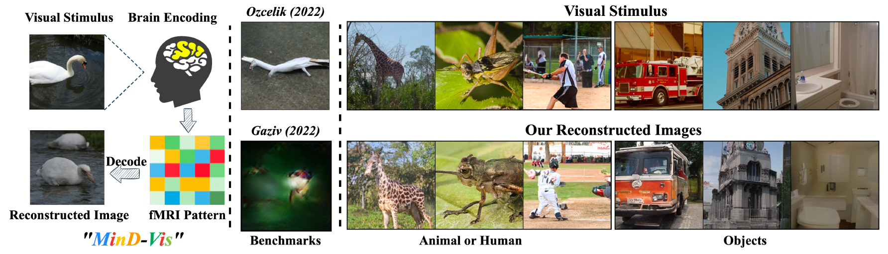 ai mind vis fmri 2 e1692512267202 | AI | นักวิจัยสร้าง AI ที่สามารถอ่านใจมนุษย์ได้ถึง 85% หวังเป็นตัวช่วยผู้พิการทางสื่อสาร 