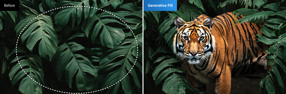 Photoshop Gen Fill 1 re | Adobe Express | อะโดบีเปิดตัวโมเดลและเว็ปแอป Firefly Generative AI ใหม่
