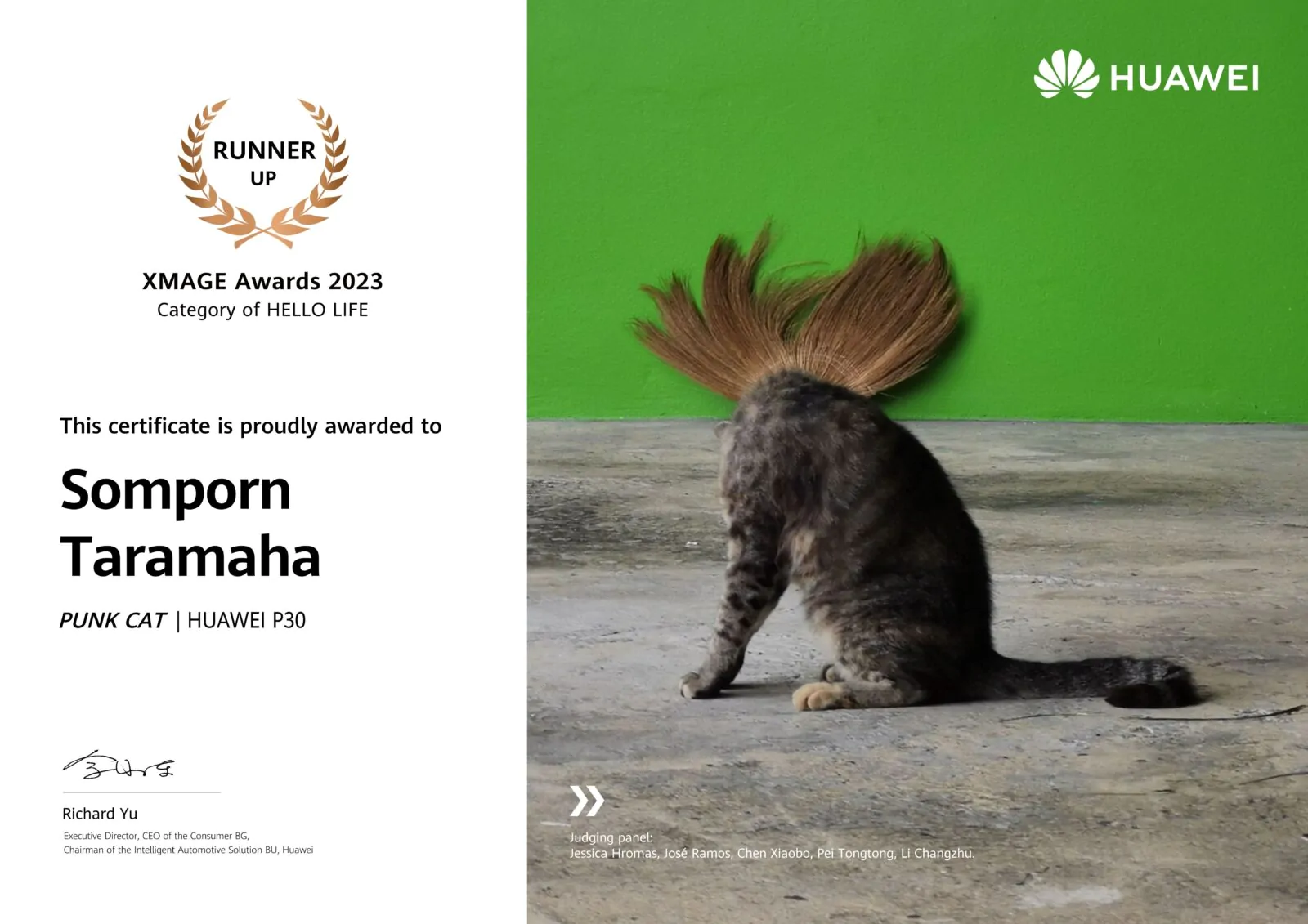 ชม 2 ภาพถ่ายระดับโลกที่ถ่ายด้วยมือถือจากฝีมือคนไทย ที่ชนะรางวัล HUAWEI XMAGE Awards 2023 1 online use only Somporn Taramaha | Huawei | ชม 2 ภาพถ่ายระดับโลกที่ถ่ายด้วยมือถือจากฝีมือคนไทย ที่ชนะรางวัล HUAWEI XMAGE Awards 2023